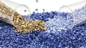 What is the granule?